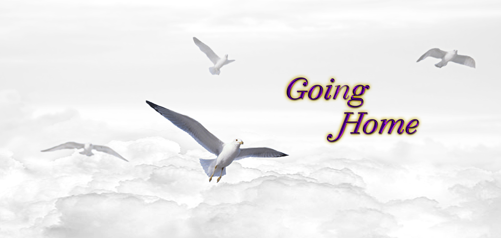 White Clouds Going Home (Purple Gold) PROOF